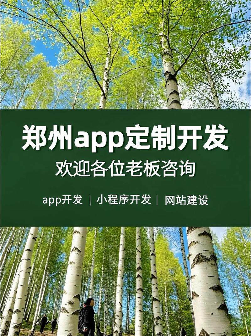 网站制作图片怎么居中显示出来的文字？含义、内容与用途科普