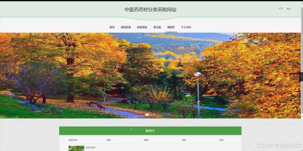 深圳网站建设哪家好排名前十名?行业经验比成立年限更重要