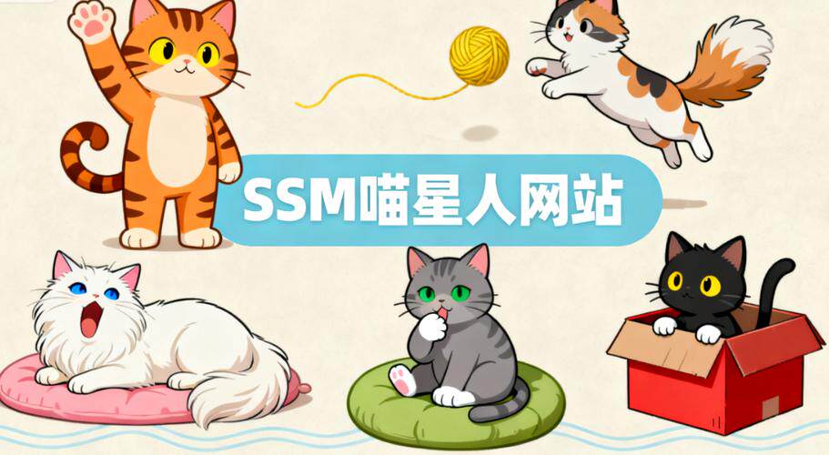 跨境电商网站搭建方案设计流程详解指南：附流程图与时间安排