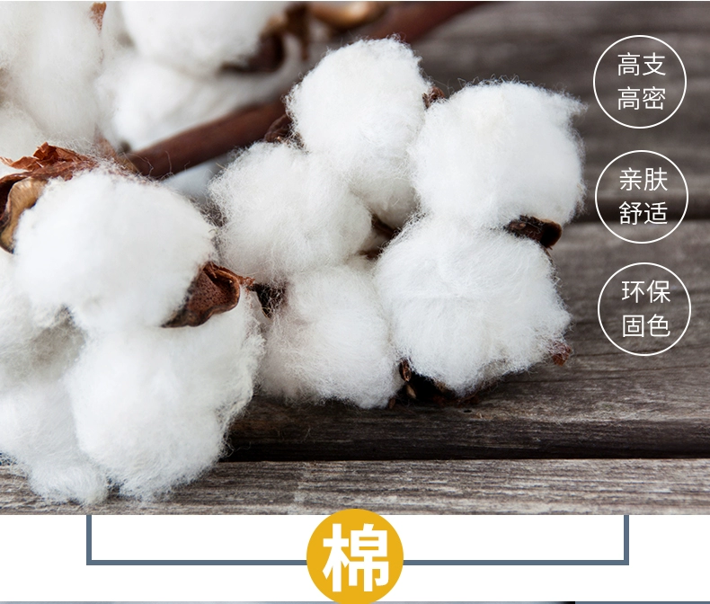 Giường cotton dày trải giường đơn mảnh Simmons nệm trải tất cả các tấm bao gồm 1,2m1,5 / 1,8 mét mùa hè - Trang bị Covers