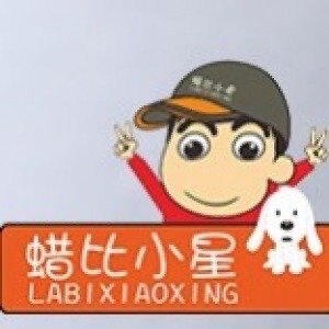 蜡比小星卜丁童鞋