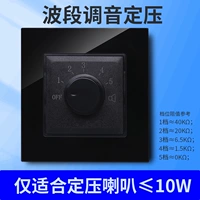 Стальная стеклянная настройка черной диапазоны 10 Вт