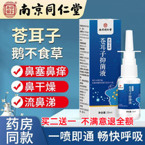 Cocklebur rhinitis oil conditioning childrens allergic nasal congestion nasal itching sneezing runny nose goose non-grass spray