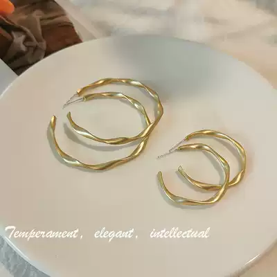 Dumb gold earrings 2020 new trendy Korean temperament net red simple all-match earrings metal texture personality earrings