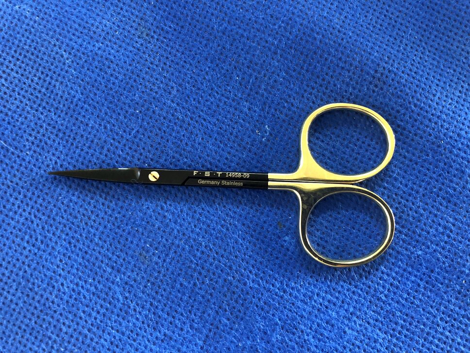FST剪刀14958-09  CeramaCut FST剪刀14959-09 动物锋利解剖剪