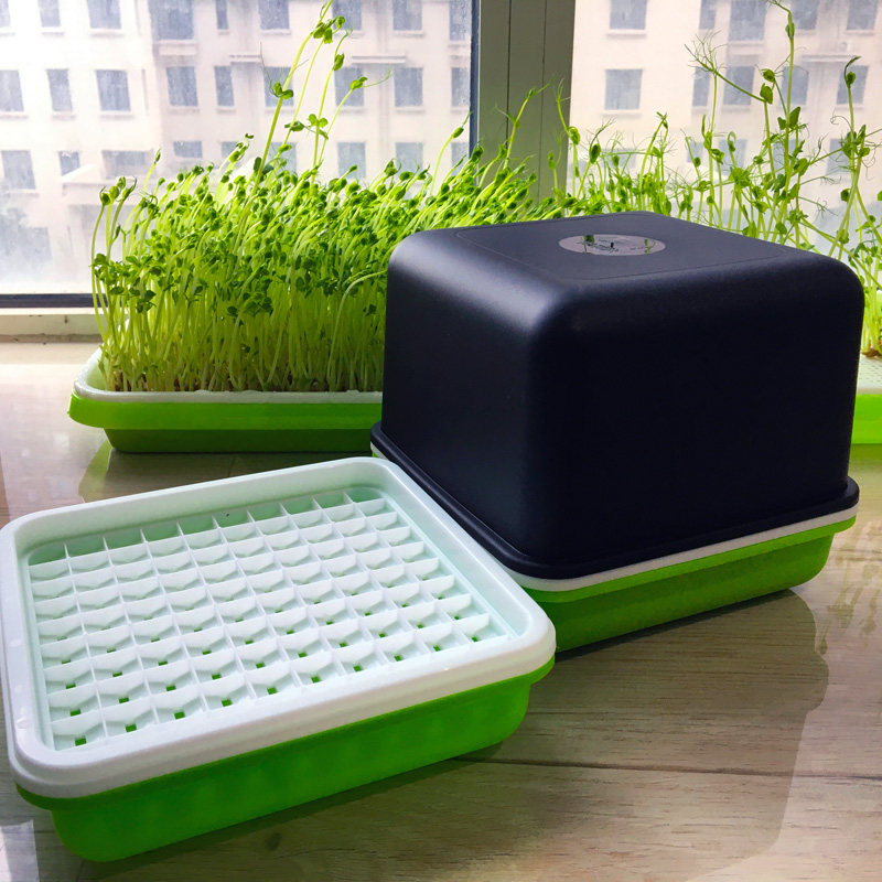 Peanut bud germination artifact Hydroponic plate Seedling plate Planting box Special box Hair peanut bud pot cultivation germination machine