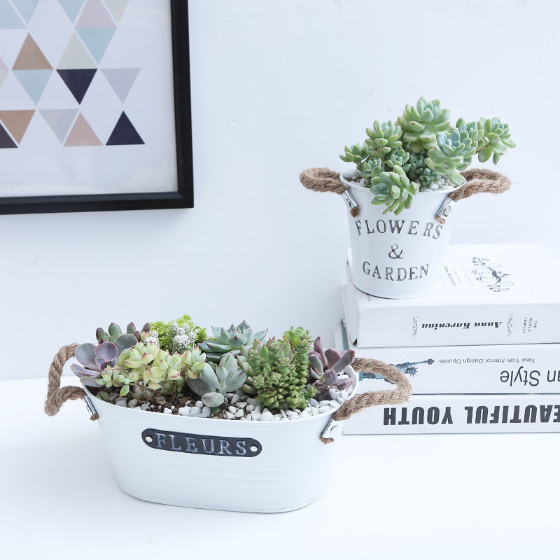 Nordic wind hemp rope handle tin bucket flower pot decorative dry flower flower bucket industrial wind iron succulent flower pot