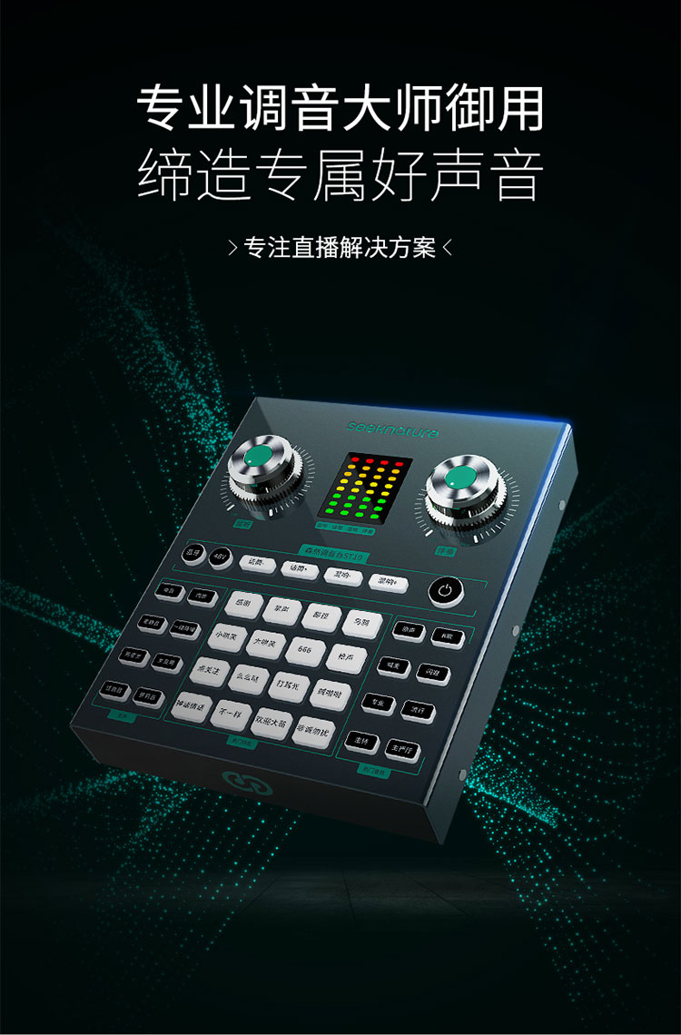 ST10_04.jpg