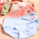 Cô gái đồ lót cotton tam giác quần short trong cậu bé lớn 12 boyshort trẻ lớn học sinh 13 cô gái đồ lót 15 tuổi