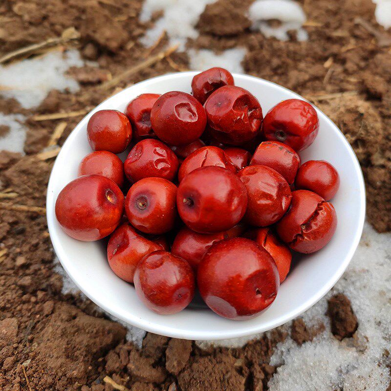 Wild Shanxi Changzhi Town farmhouse 250g Free to wash small red dates sweet with sour and delicious pregnant woman snacks-Taobao