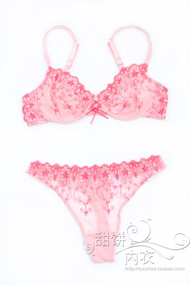 02 European and American embroidery lace mesh ultra-thin transparent sexy temptation no sponge underwear bra can be equipped with T pants suit