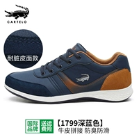 -FOUR SEASONS -DARK BLUE -1799