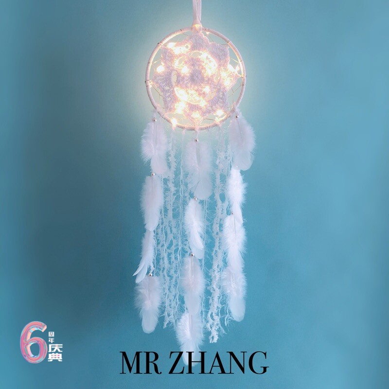 MR ZHANG original dreamnet light birthday girl Indian feather hanging decoration artistic gift Requins wind