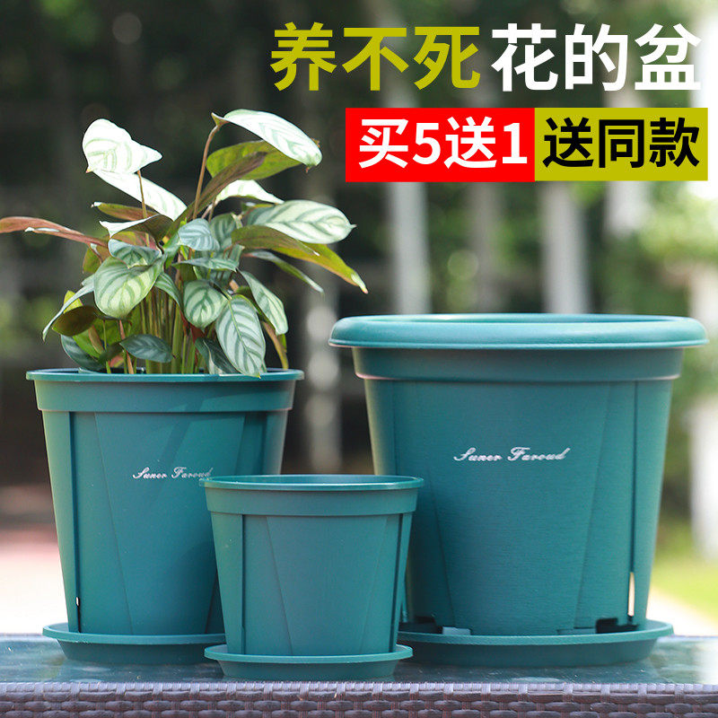 Plastic Aoyama pot controlled root pot not rotten root season green lotus thick gallon pot creative personality plastic pot