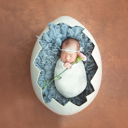 2017 Rooster Year Newborn Full Moon Hundred Days Children's Iron Art Retro Egg Shell Photography Prop Basket Photo Prop Shell