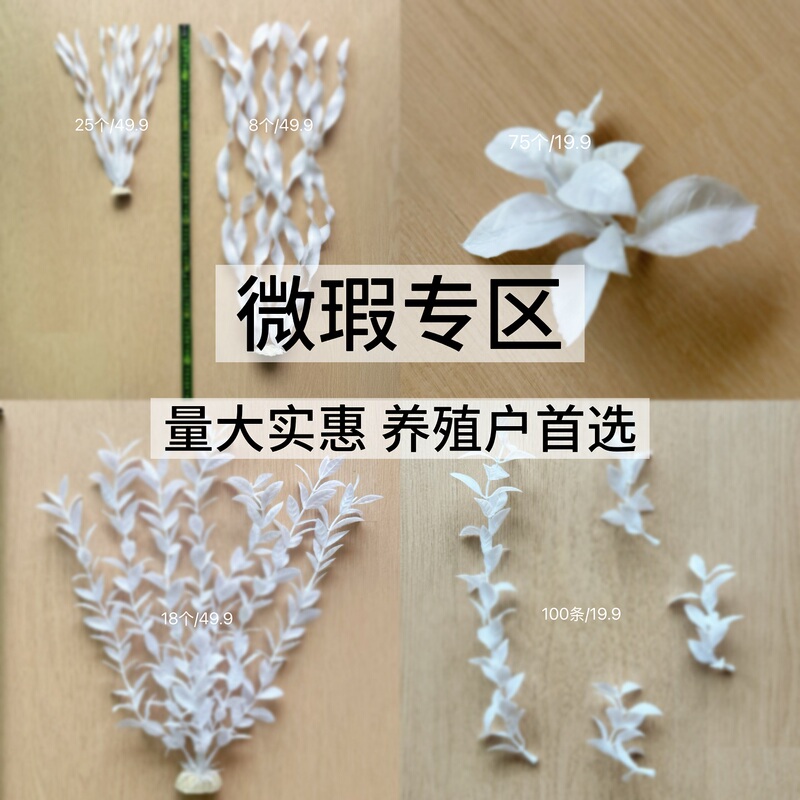 Good Turtle-Keeping Products: Fake Aquatic Plants with Minor Flaws, White Fake Aquatic Plants, Tiger-Patterned Fake Aquatic Plants, Preferred by Farmers for Large Pond Mixed Farming Good Turtle-Keeping Products: Fake Aquatic Plants with Minor Flaws, White Fake Aquatic Plants, Tiger-Patterned Fake Aquatic Plants, Preferred by Farmers for Large Pond Mixed Farming
