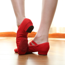  Red dance shoes Adult pointe dance shoes Cat claw shoes Ballet shoes soft-soled dance shoes Practice shoes Gymnastics teacher shoes