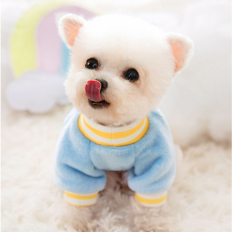 baby宠物店