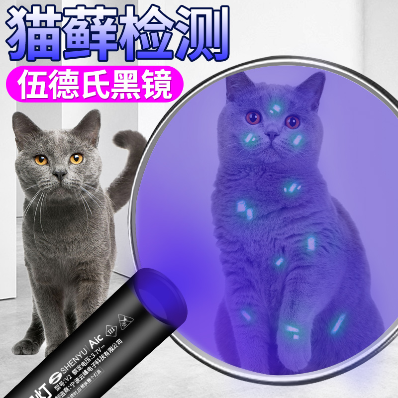 Wood's lamp illumination Cat moss urine ringworm fungus detection flashlight Ultraviolet fluorescent agent Purple banknote detection lamp special