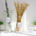 Bình thủy tinh Bắc Âu bình hoa đơn giản - Vase / Bồn hoa & Kệ Vase / Bồn hoa & Kệ