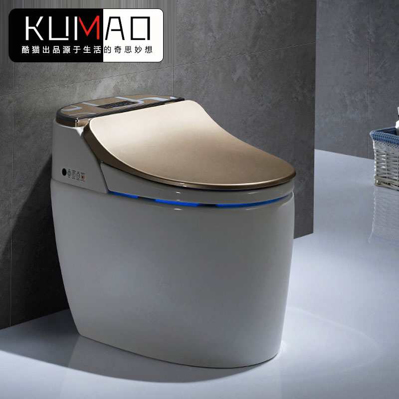 Eurostyle Instantaneously Golden Intelligent Toilet fully automatic flushing water closet integrated without water tank Colour toilet