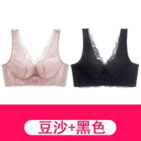 3311 Bean Paste+Black