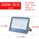 [银狐工程款（隔离宽压）300w正白光]