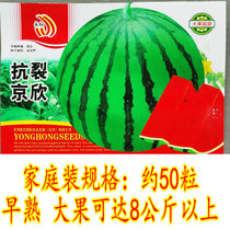 Anti-cracking Jingxin Meidu watermelon seed high yield sweet early-maturing unicorn melon vegetable seed yellow soil 8424 watermelon