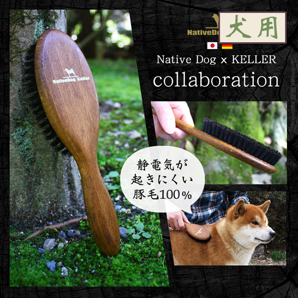 Day Generation Superior Pig Hair Wood Handle Mehair Massage Brush Antistatic Promotes Blood Circulation Prevention Dermatological full dog breed