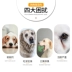 Thức ăn cho chó con chó con điên 20 catties Golden Retriever Labrador Satsuma 10 con chó lớn cỡ trung bình chó trưởng thành phổ quát loại 40 - Chó Staples