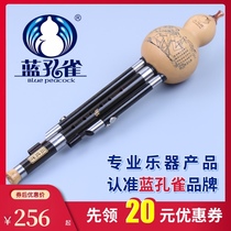 Blue Peacock brand professional performance C-down B-tone ebony wood pipe Gourd silk Yunnan musical instrument monopoly