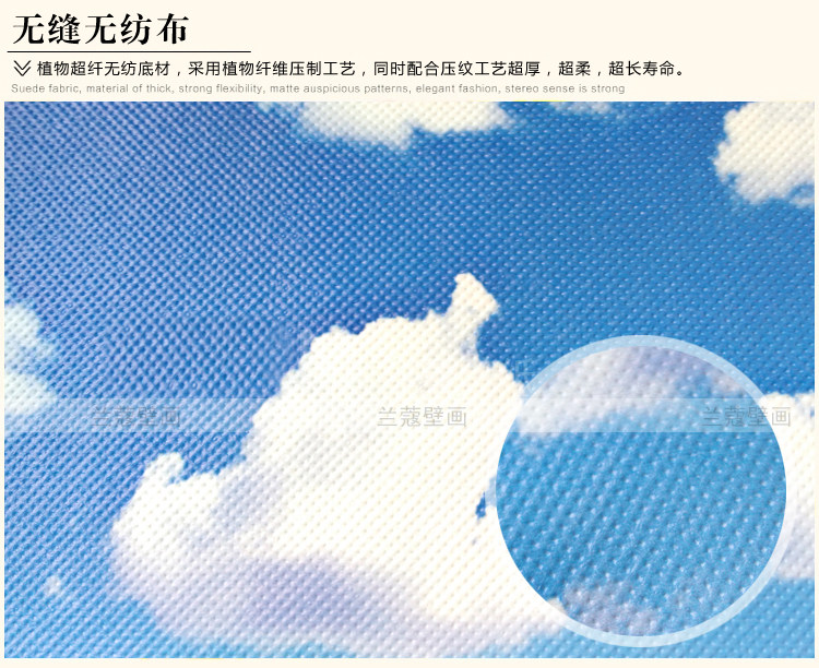 Affiche murale géante - Ref 2455962 Image 14