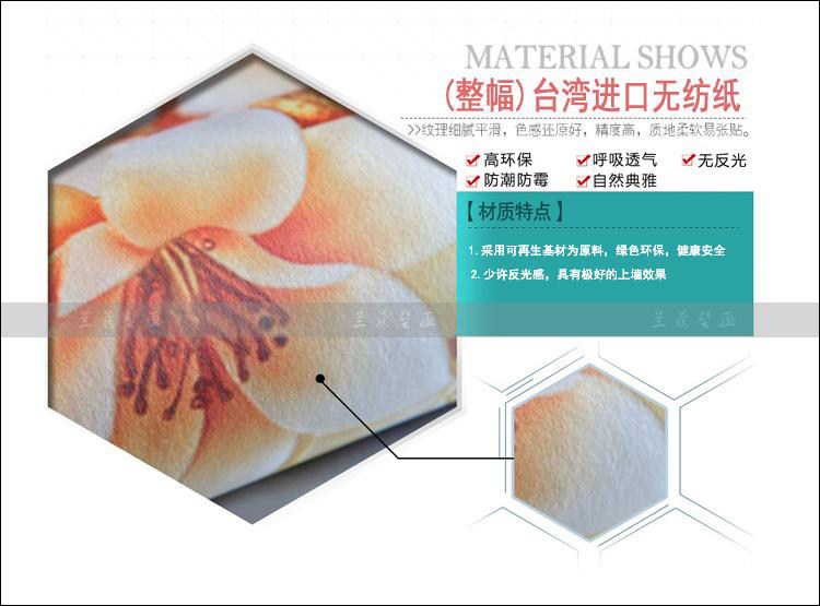 Affiche murale géante - Ref 2455977 Image 21