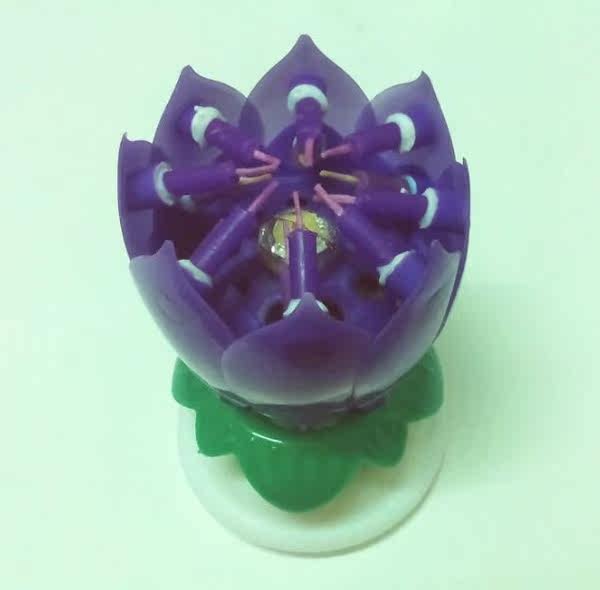 Bougie - Ref 2488359 Image 25