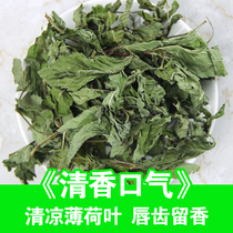 Peppermint Leaf Fresh Mint Tea Dried Peppermint Leaf Dried Peppermint Flower Tea Cool Camellia Herb Tea in bulk