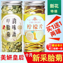 Chrysanthemum tea Lemon slices Chrysanthemum tea Tongxiang authentic fetal chrysanthemum king premium herbal tea canned