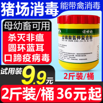 Pig farm use potassium hydrogen sulfate disinfectant liquid pig compound powder disinfectant liquid farm special pig factory