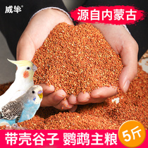 Parrot bird eats red millet with Shell millet grain tiger skin Xuanfeng peony food feed bird grain millet 5kg