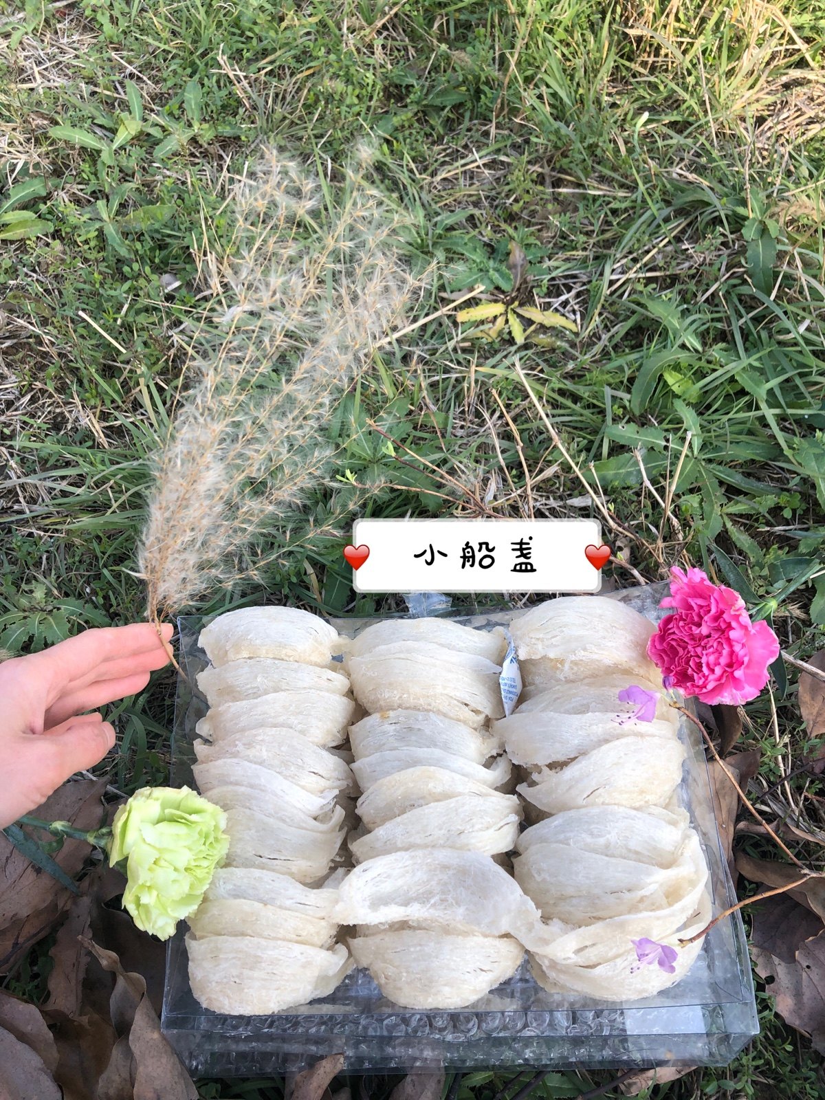 Indonesian Sumatra Dried Bird's Nest Boat Cup 50 grams Plus a small gift