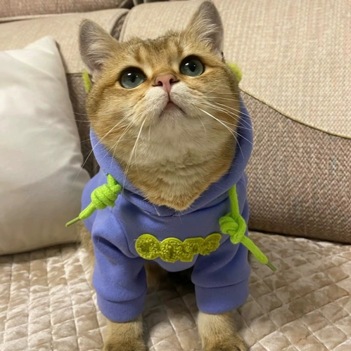 犵 硗瀹 硗瀹   挭 挭 f 湇鍗 .殩 濇 冨伓 冨伓 冨伓 ning 冨伓 Порог 笎 灞  楃 嫍鍐  墿 瀹犵 墿 瀹犵 墿 瀹犵 墿 墿 墿 墿 墿 墿