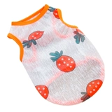 Кошачья одежда котята котята котята голубые кошки летние дышащие и антиворотичные щенки летние питовые питомцы жилет