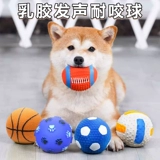 Той -мяч для собак, шлифование щетки щенков, щенки щенка, неразумный артефакт, медведь, золотисто -ретривер