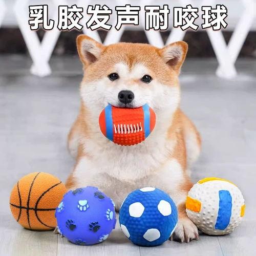 Той -мяч для собак, шлифование щетки щенков, щенки щенка, неразумный артефакт, медведь, золотисто -ретривер