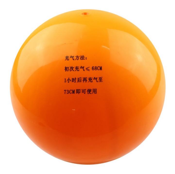 Ballon de volley - Ref 2011116 Image 4