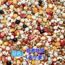 Tianjin Sailly High End (Nutritional Special Grade No Wheat) Racing Pigeon Grain Letter Racing Pigeon Feed 50 Catty