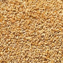 Barley tea maltose chicken duck goose bird pigeon feed wine raw grain 50kg