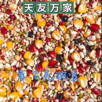Beijing Tianyou Wanjia Pigeon Food (No Pea Racing) Pigeon Food Xin Racing Pigeon Feed 50 Jin Packed Jiangsu and Zhejiang