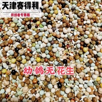 Tianjin Sedley racing pigeon special young pigeon (no peanuts) corn-free pioneer pigeon food carrier pigeon feed 50 pounds