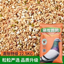 Xiaolong special clear grain Professional Pigeon Pigeon food for feather letter pigeon feed 45kg Jiangsu Zhejiang and Shanghai
