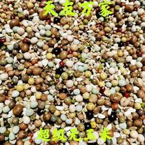 Beijing Tianyou ten thousand Pigeon Food Super No Corn Young Dove Grain Letter Racing Pigeon Bird Food Feed 50 Catty